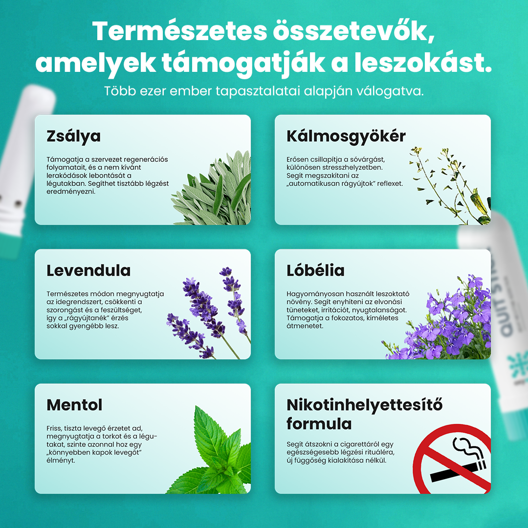 Leszokó Inhaláló Oxywell™ 1+1 OFFER